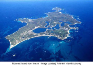 Rottnest Island – have your say!